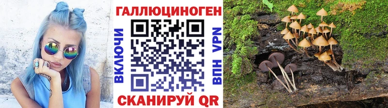 Купить где  Моршанск  Галлюциногенные грибы прущие грибы 